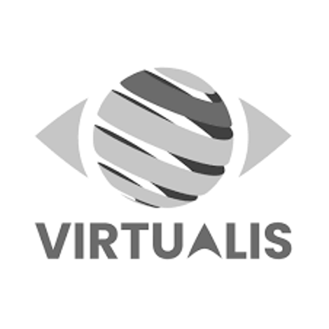 Virtualis logo gris