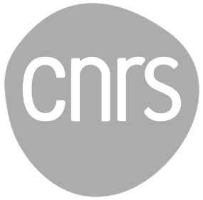 Logo gris